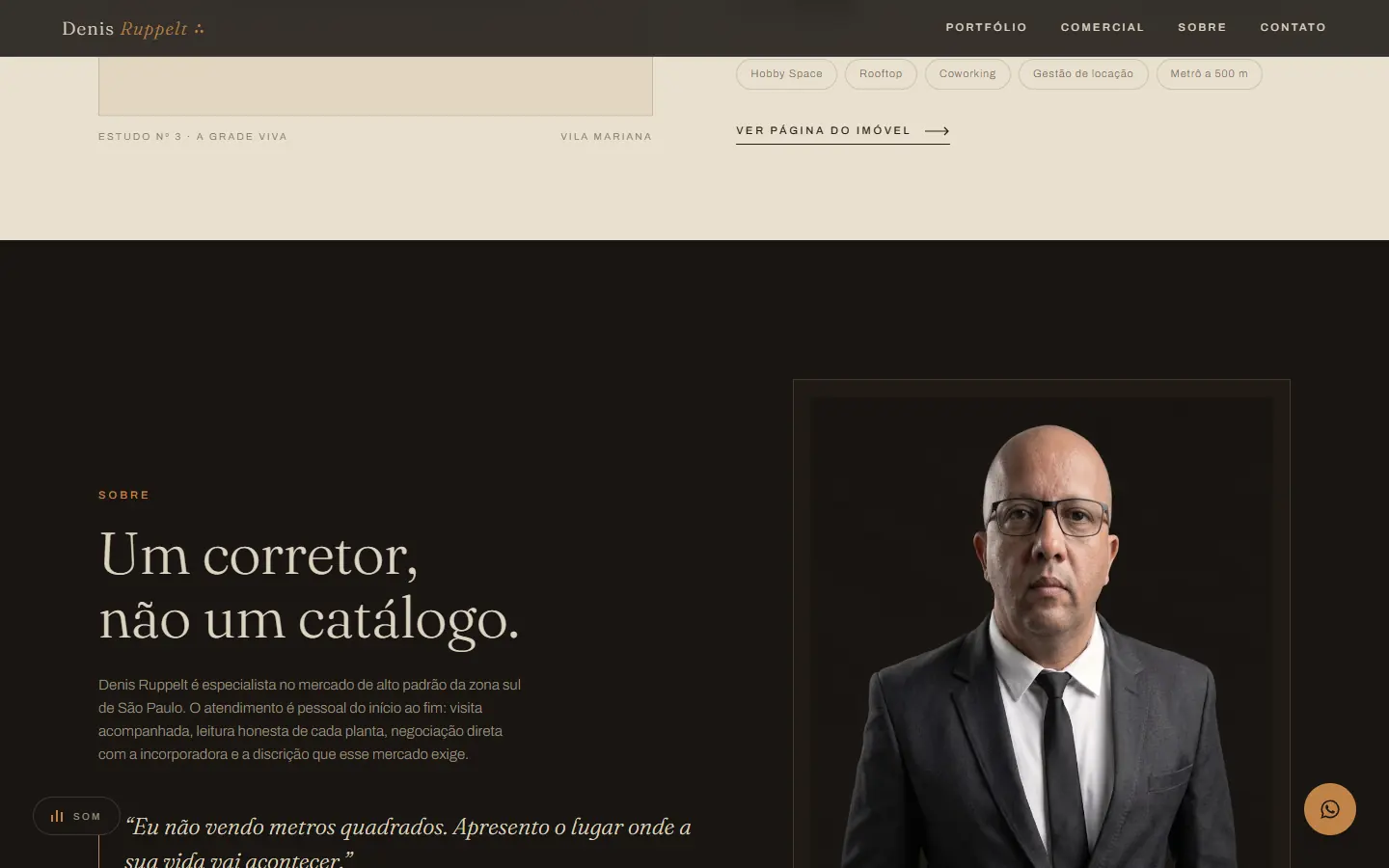 Tela 2 do site Denis Ruppelt